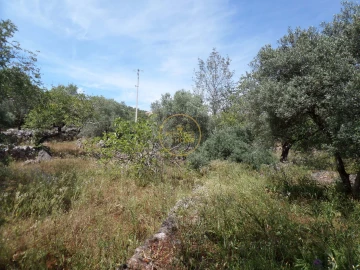 Moradia T6 para Venda em Loule (São Clemente)