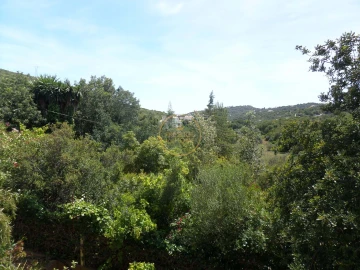 Moradia T6 para Venda em Loule (São Clemente)