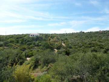 Moradia T6 para Venda em Loule (São Clemente)