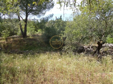 Moradia T6 para Venda em Loule (São Clemente)