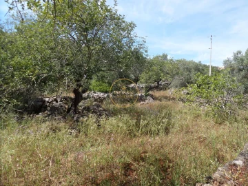 Moradia T6 para Venda em Loule (São Clemente)
