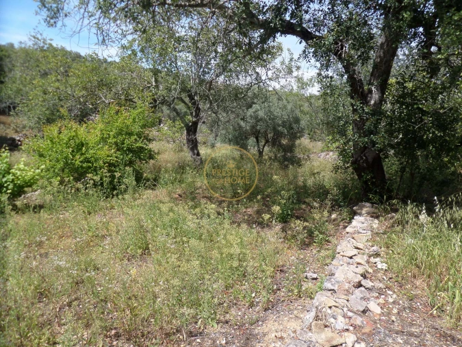 Moradia T6 para Venda em Loule (São Clemente) Foto 86