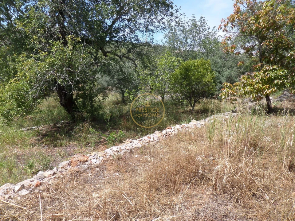Moradia T6 para Venda em Loule (São Clemente) Foto 91