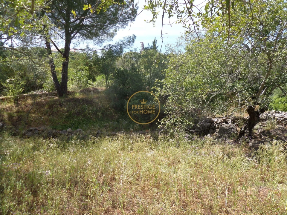 Moradia T6 para Venda em Loule (São Clemente) Foto 88