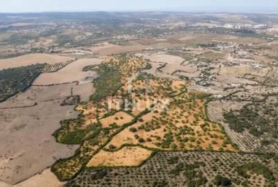 Quinta T3 para Venda em Assunção, Ajuda, Salvador e Santo Ildefonso