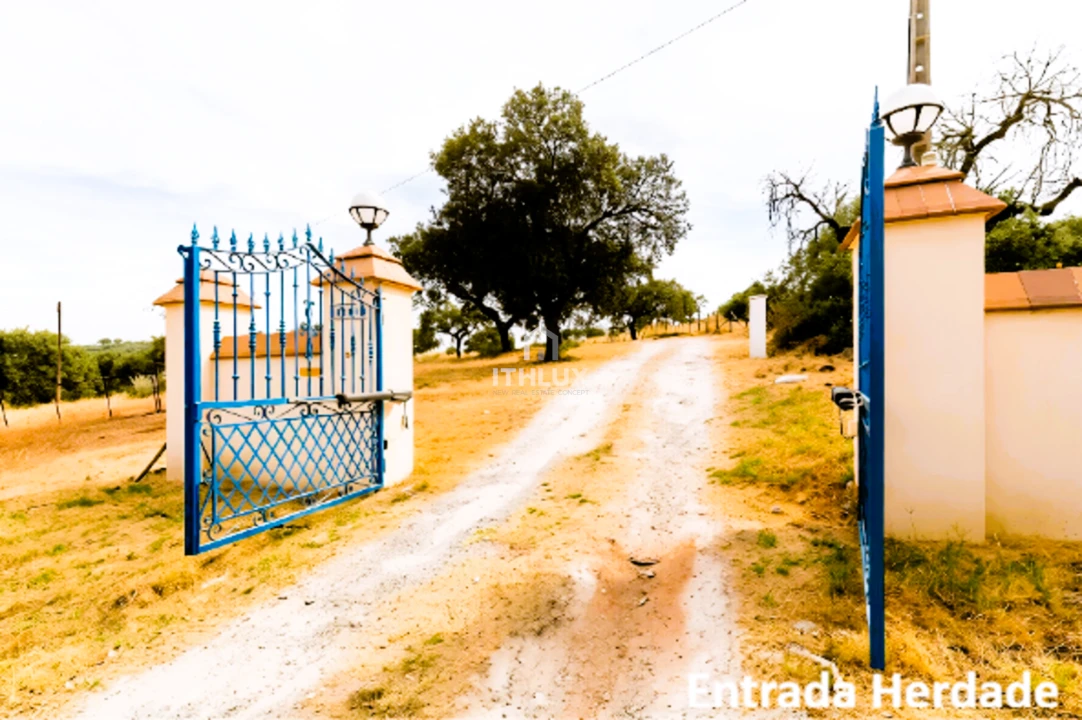 Quinta T3 para Venda em Assunção, Ajuda, Salvador e Santo Ildefonso Foto 15