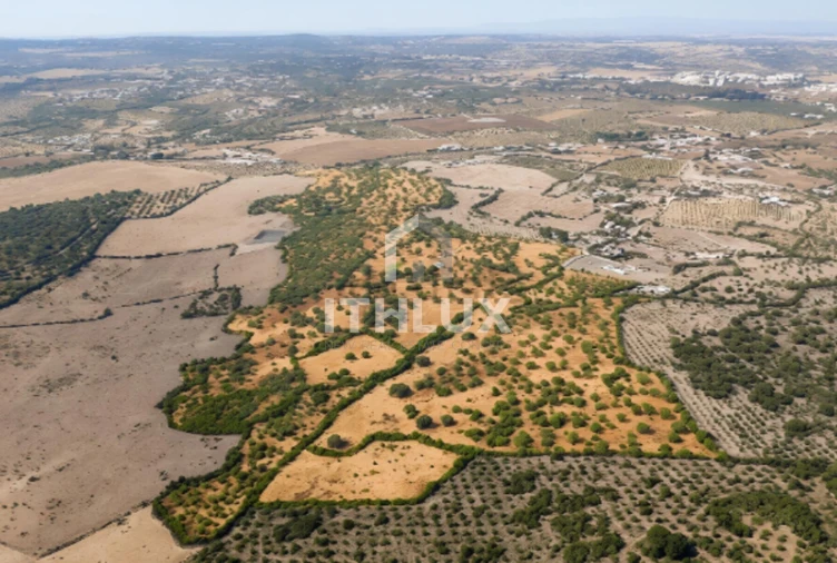 Quinta T3 para Venda em Assunção, Ajuda, Salvador e Santo Ildefonso Foto 43