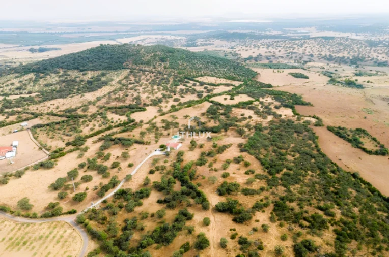 Quinta T3 para Venda em Assunção, Ajuda, Salvador e Santo Ildefonso Foto 4