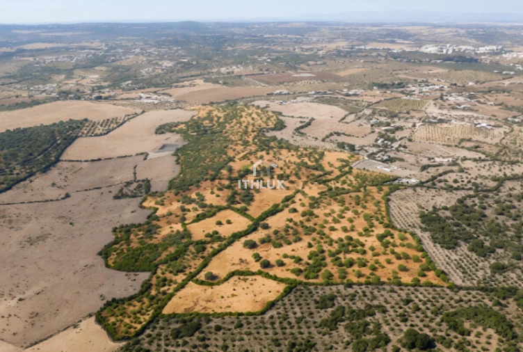 Quinta T3 para Venda em Assunção, Ajuda, Salvador e Santo Ildefonso Foto 3