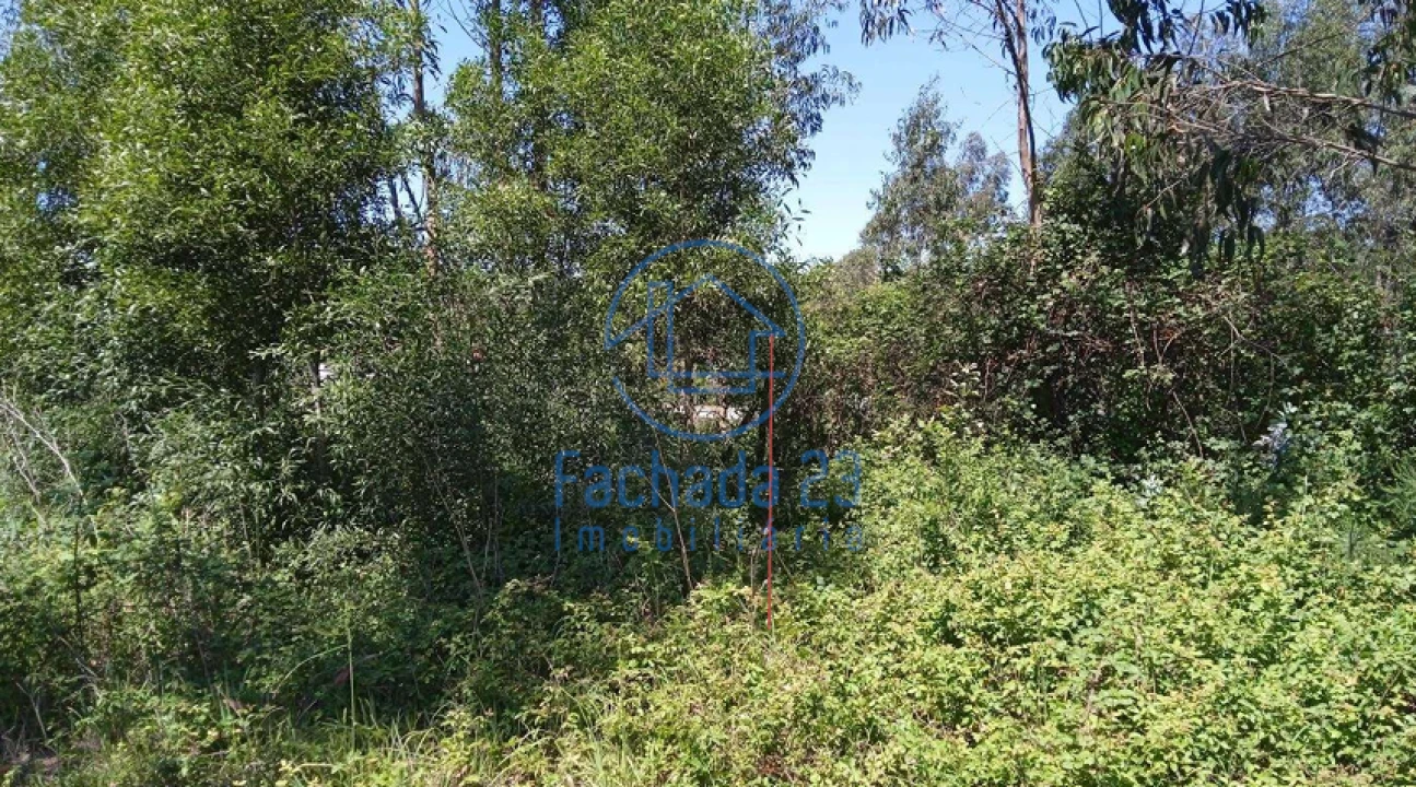Terreno para Venda em São João Foto 8
