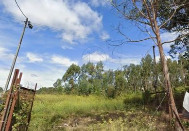 Terreno para Venda em São João