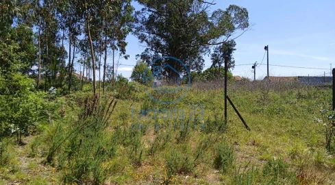 Terreno para Venda em São João
