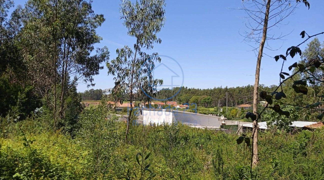 Terreno para Venda em São João Foto 5