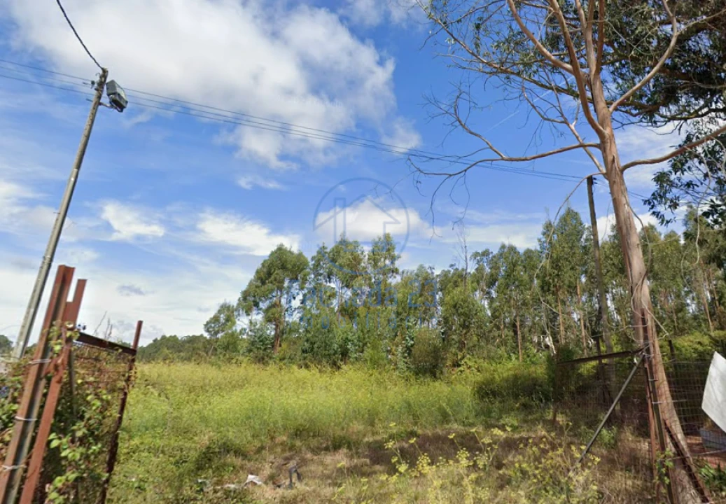 Terreno para Venda em São João Foto 8