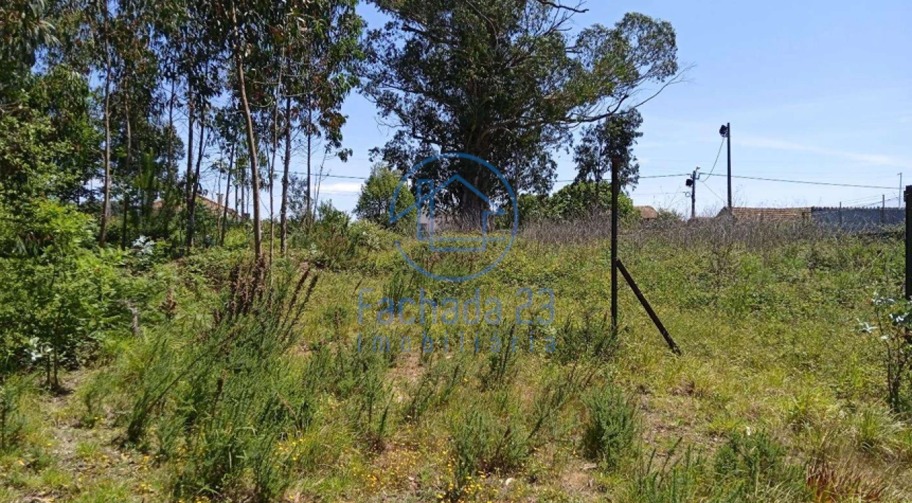 Terreno para Venda em São João Foto 7