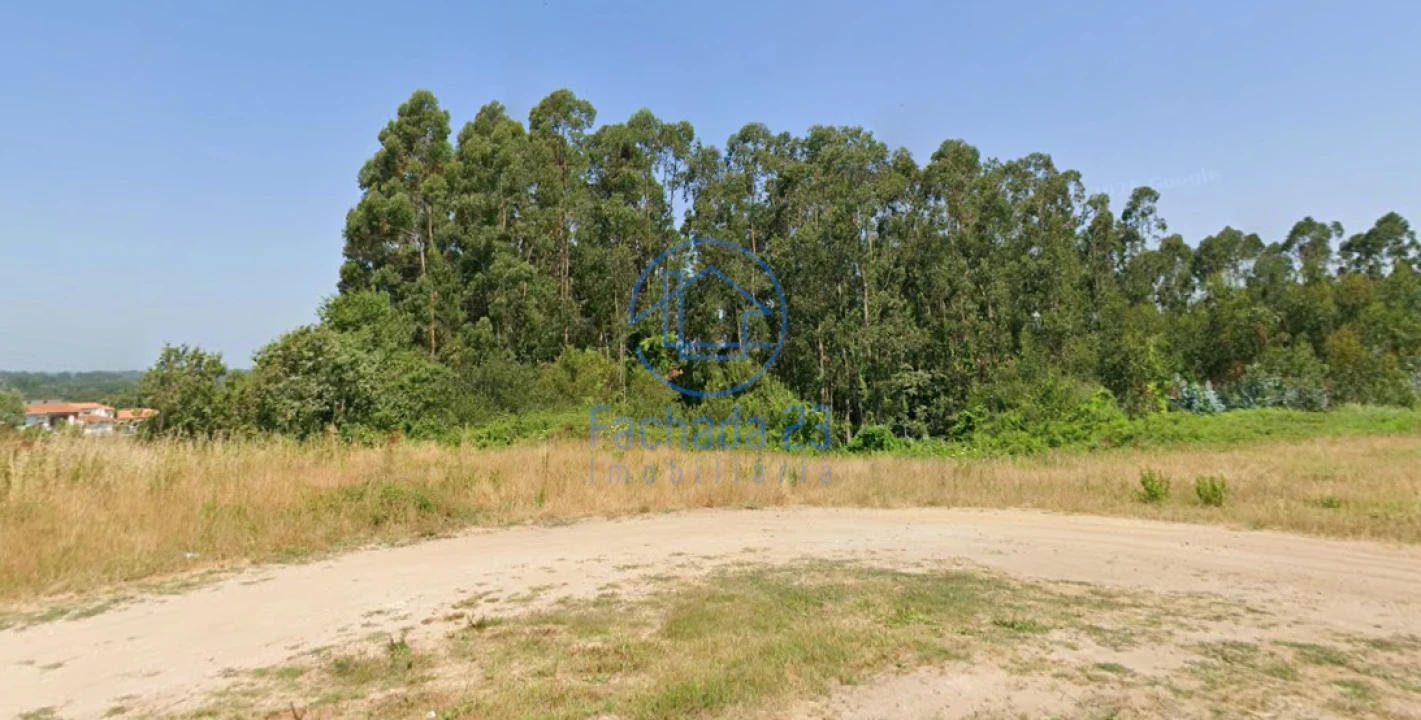 Terreno para Venda em Angeja Foto 5