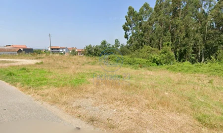 Terreno para Venda em Angeja