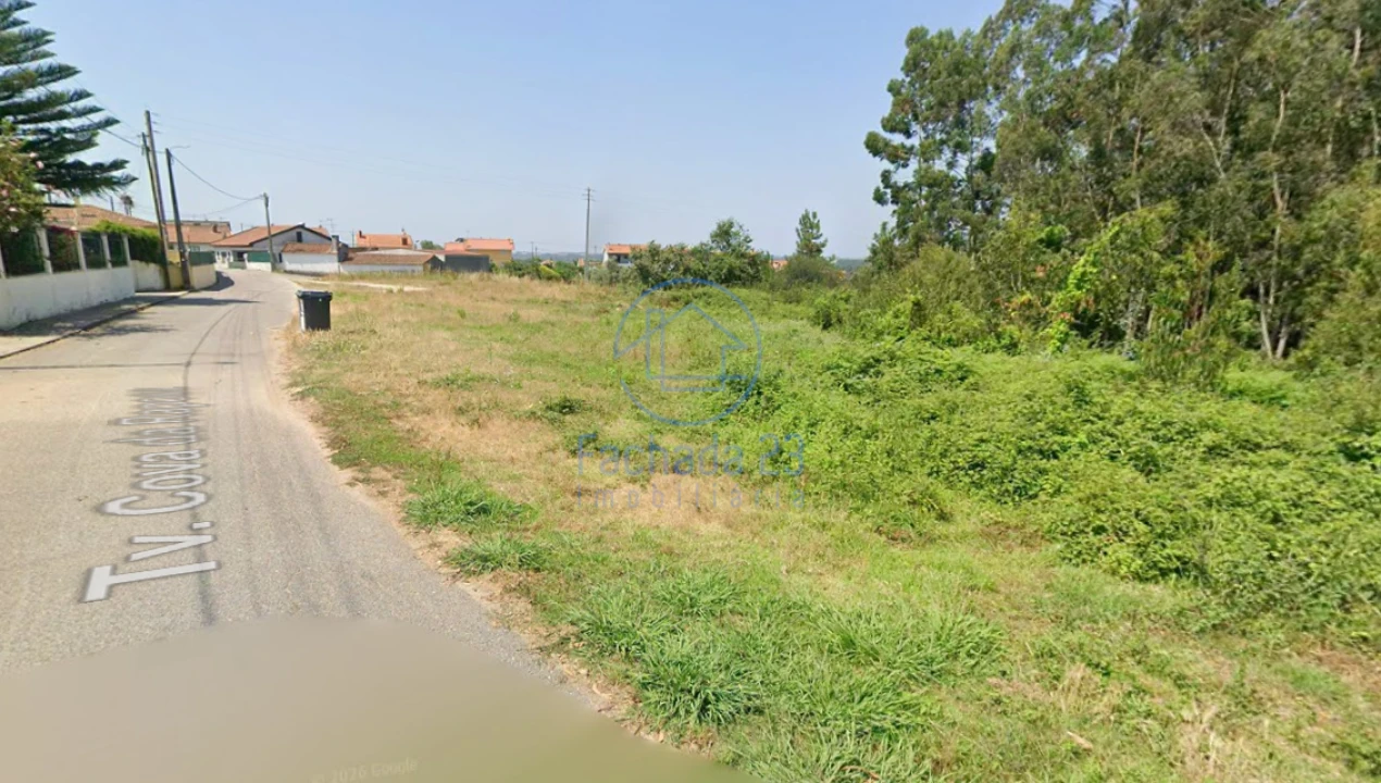 Terreno para Venda em Angeja Foto 2