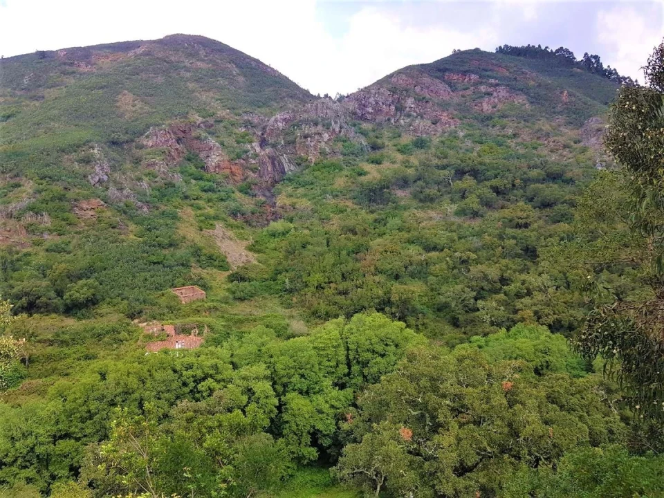 Terreno para Venda em Marmelete Foto 5