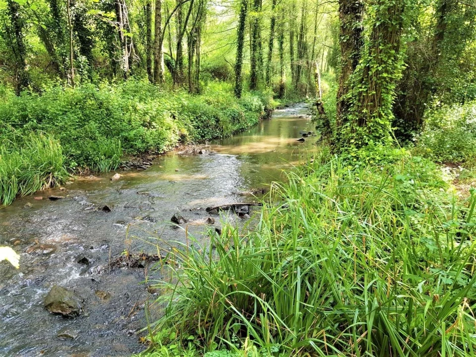Terreno para Venda em Marmelete Foto 2