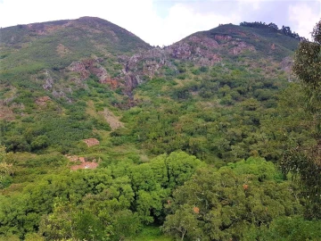 Terreno para Venda em Marmelete