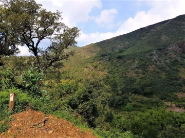 Terreno para Venda em Marmelete