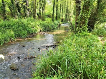 Terreno para Venda em Marmelete