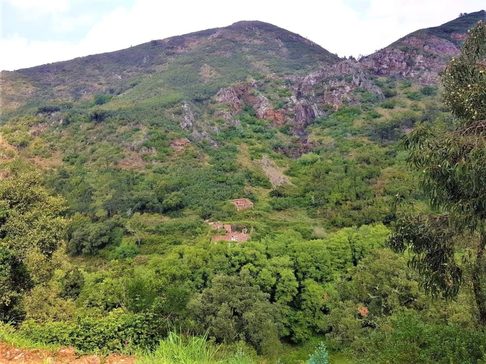 Terreno para Venda em Marmelete Foto 3