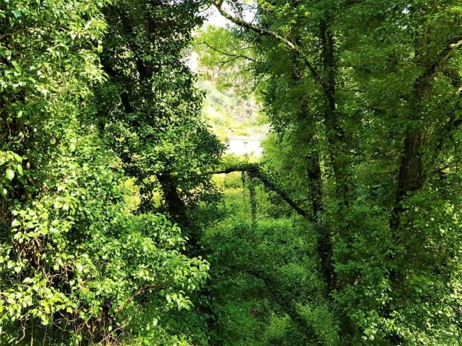 Terreno para Venda em Marmelete Foto 8