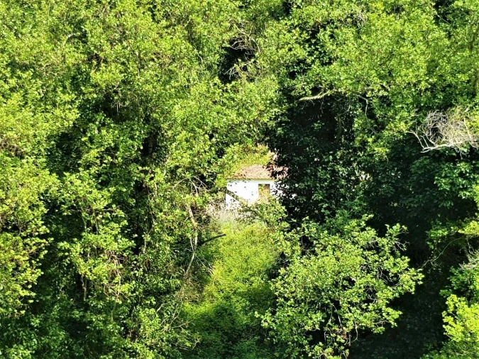 Terreno para Venda em Marmelete Foto 7