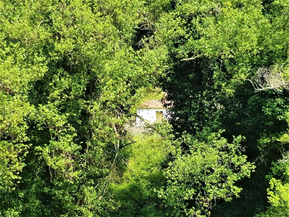 Terreno para Venda em Marmelete Foto 7