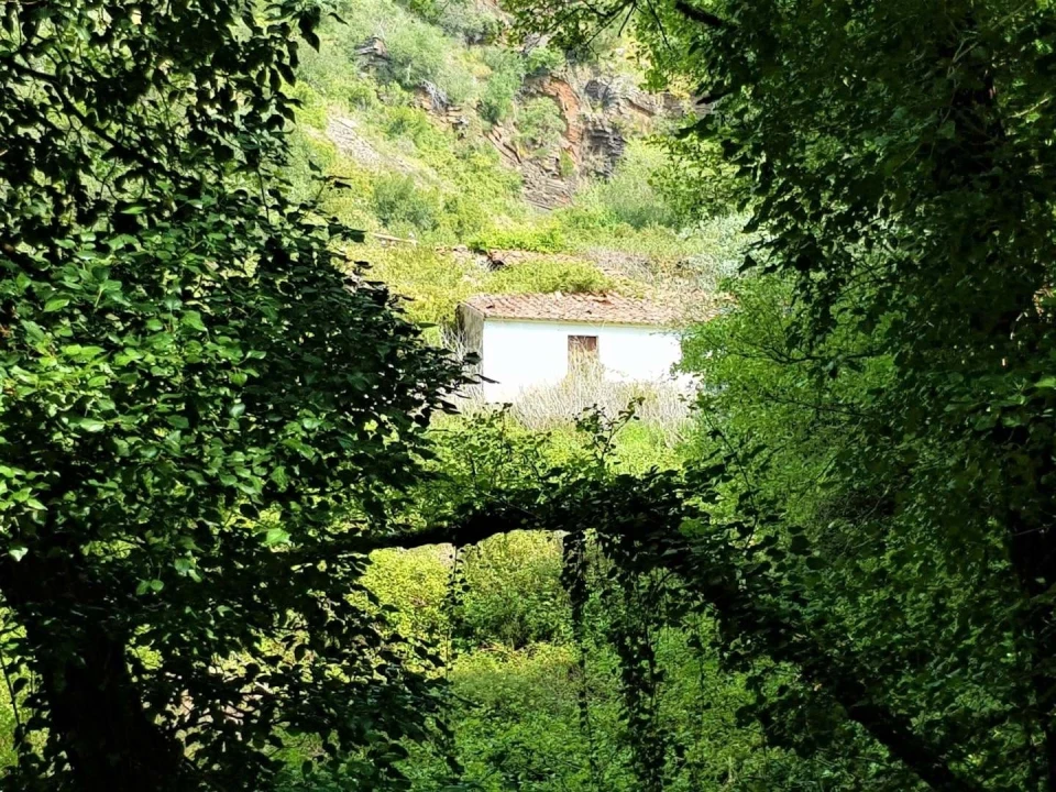 Terreno para Venda em Marmelete Foto 9