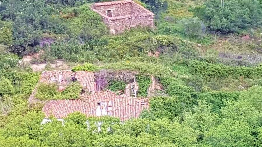 Terreno para Venda em Marmelete