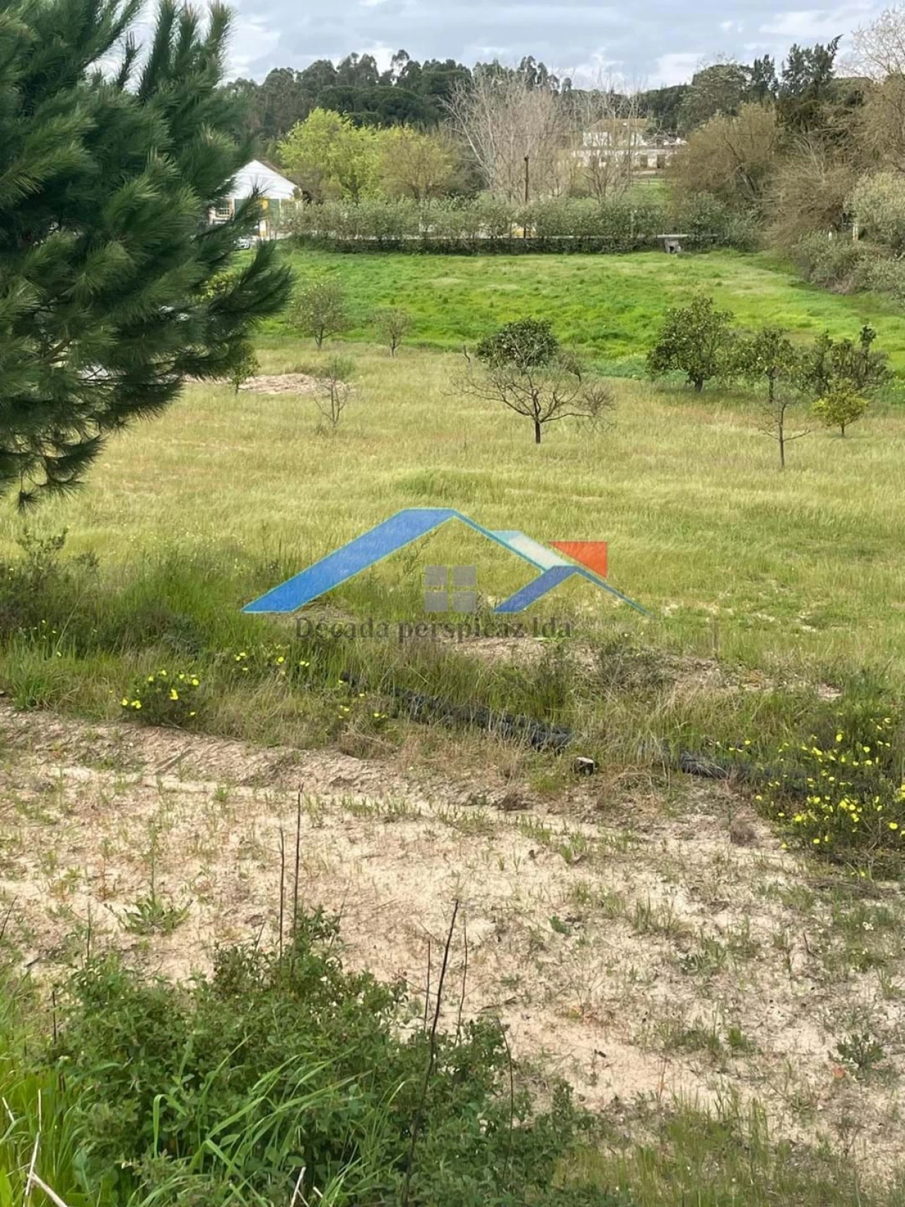 Terreno para Venda em Biscainho Foto 6