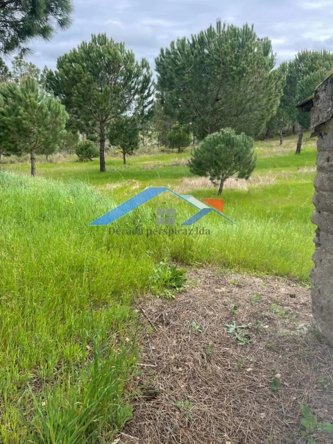 Terreno para Venda em Biscainho