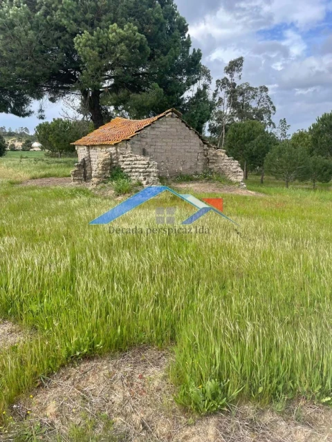 Terreno para Venda em Biscainho