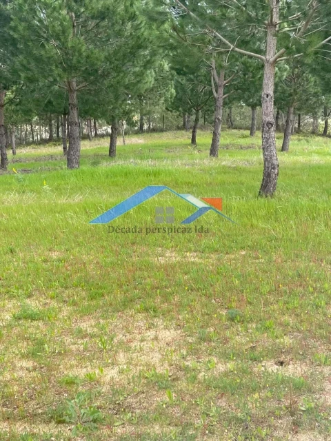 Terreno para Venda em Biscainho