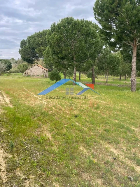 Terreno para Venda em Biscainho