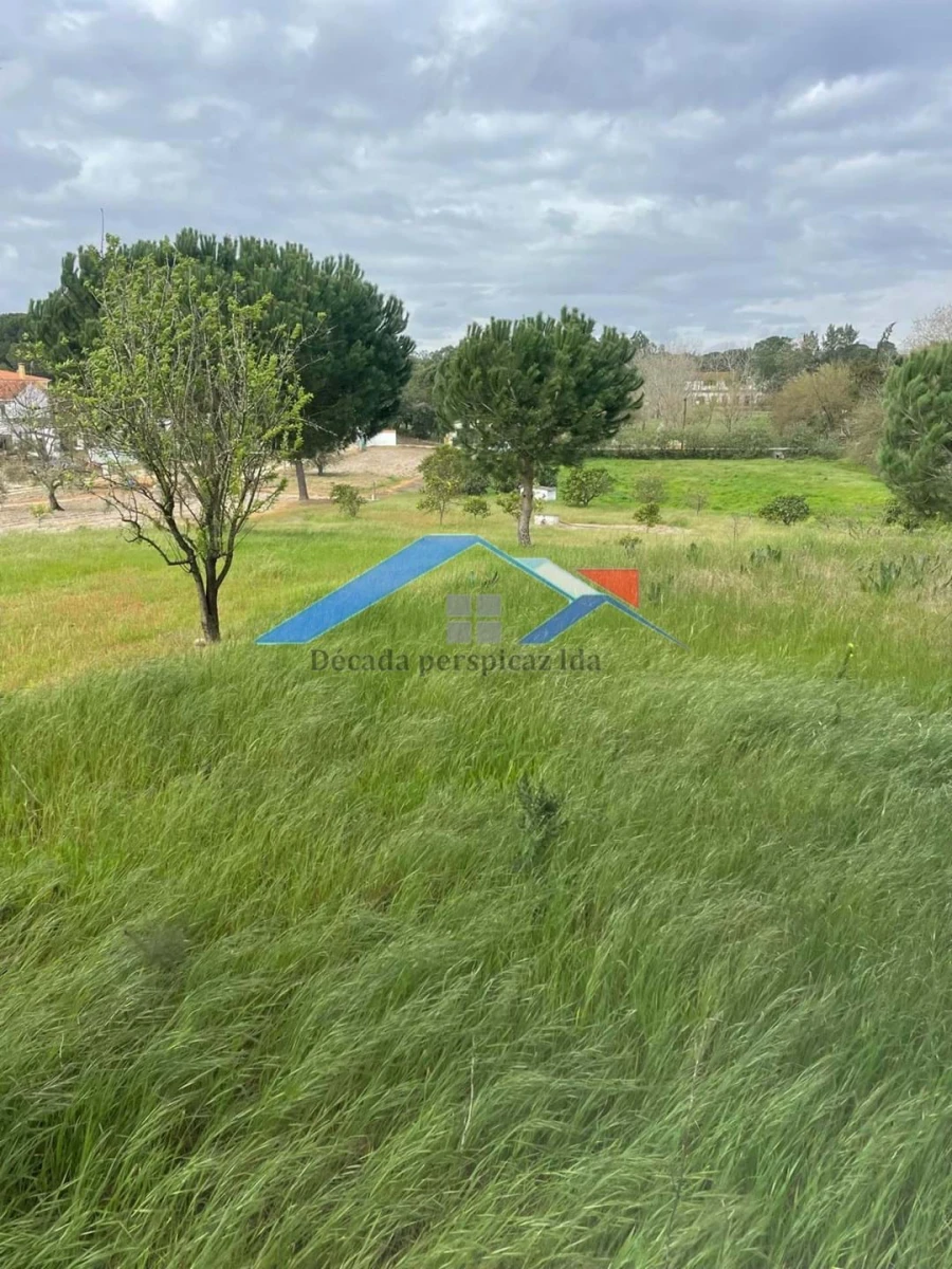 Terreno para Venda em Biscainho Foto 2