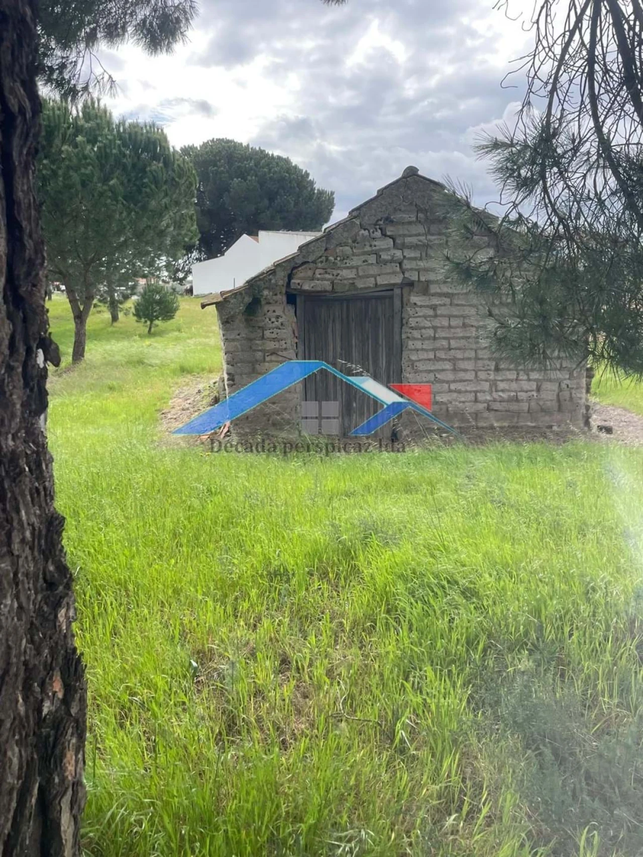 Terreno para Venda em Biscainho Foto 8