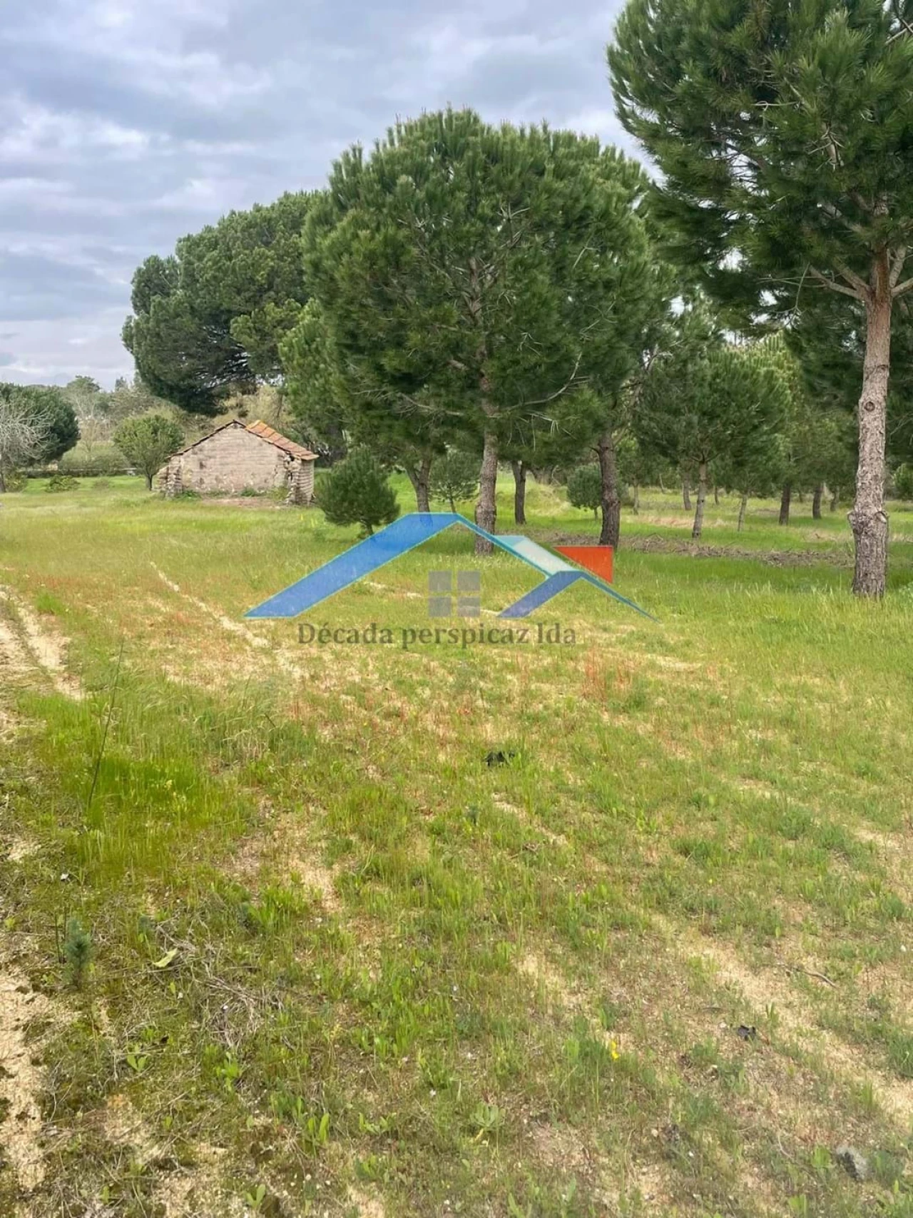 Terreno para Venda em Biscainho Foto 1
