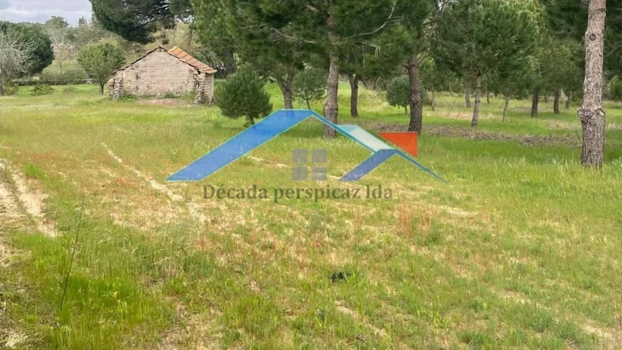 Terreno para Venda em Biscainho