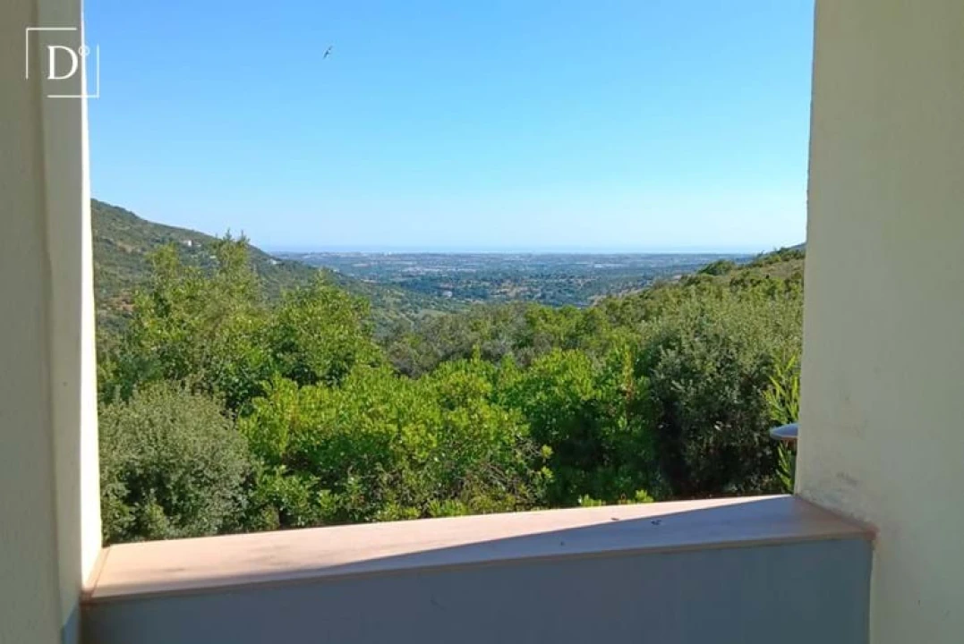 Moradia T3 para Venda em São Brás de Alportel Foto 18