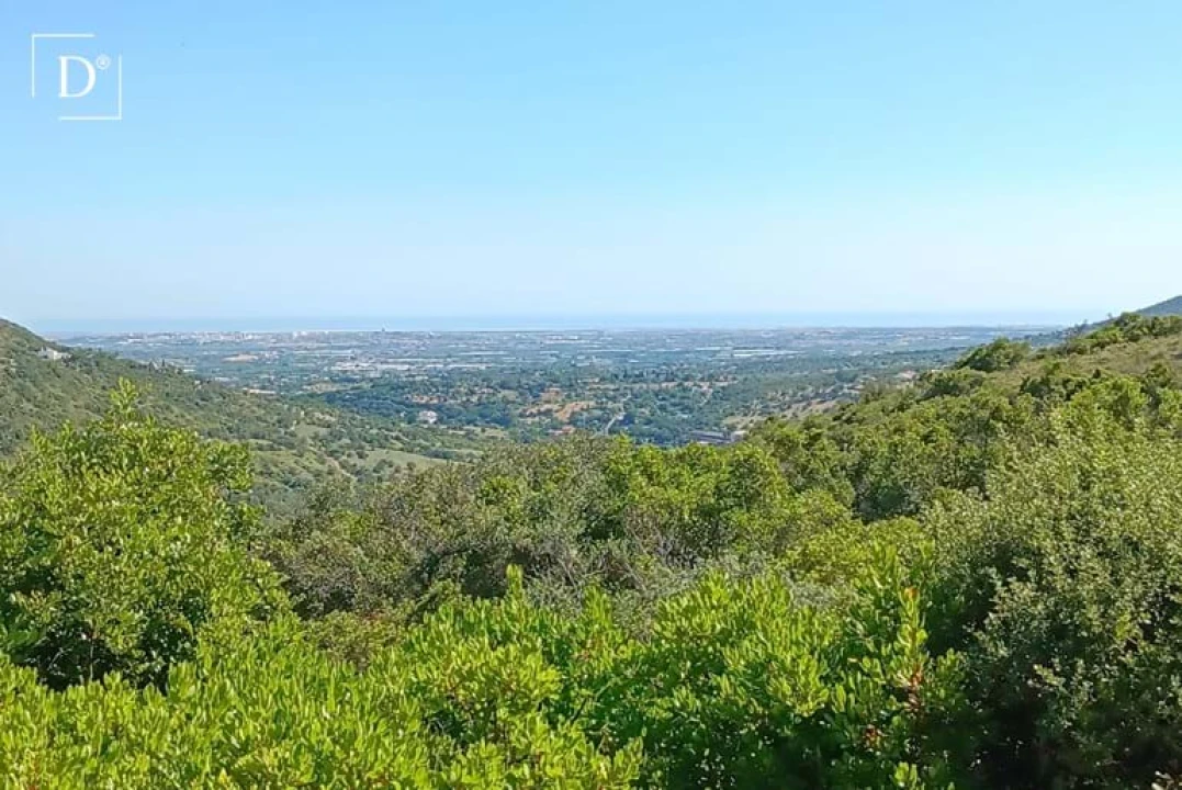 Moradia T3 para Venda em São Brás de Alportel Foto 11