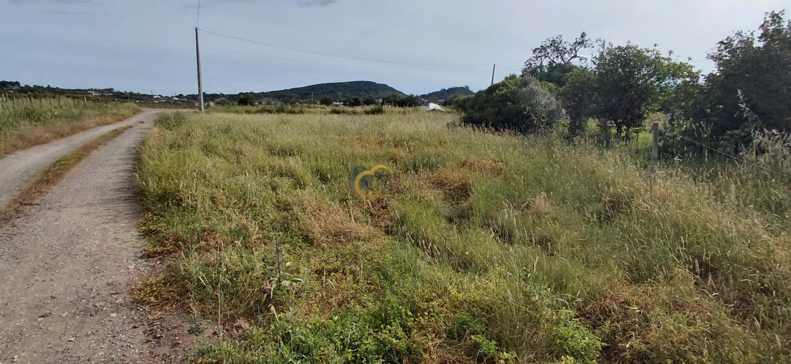 Terreno Agricola ou Rústico para Venda em São Bartolomeu de Messines Foto 8