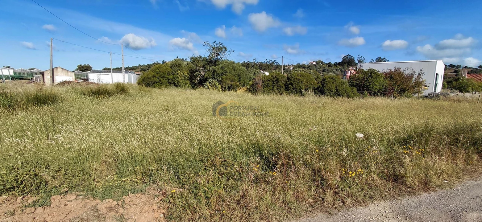 Terreno Agricola ou Rústico para Venda em São Bartolomeu de Messines Foto 5