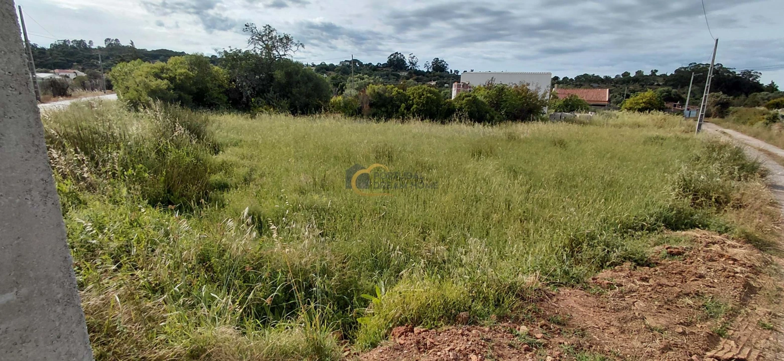 Terreno Agricola ou Rústico para Venda em São Bartolomeu de Messines Foto 16