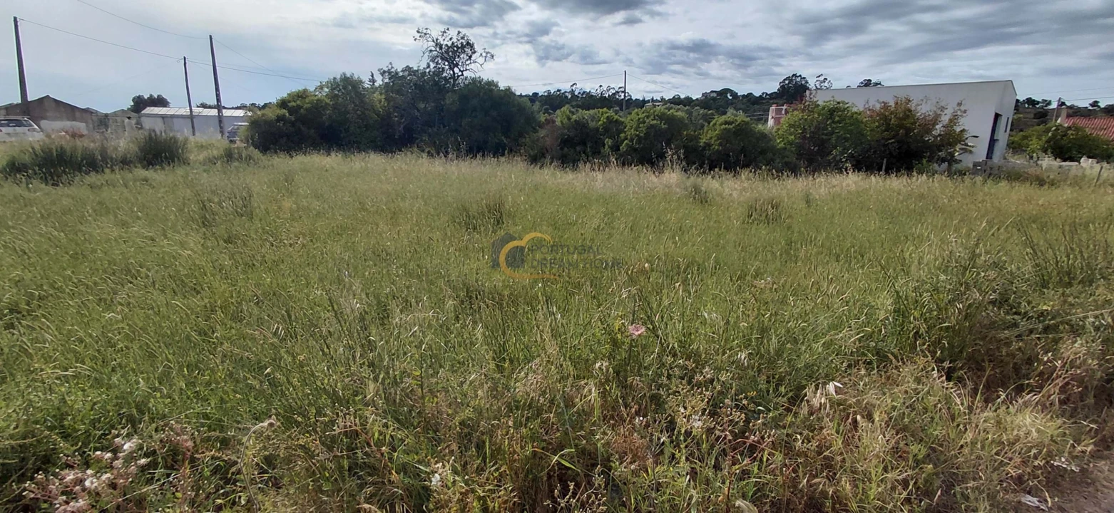 Terreno Agricola ou Rústico para Venda em São Bartolomeu de Messines Foto 9
