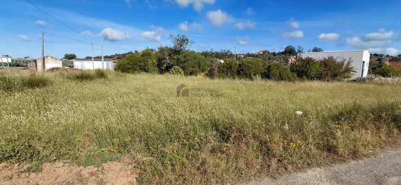 Terreno Agricola ou Rústico para Venda em São Bartolomeu de Messines