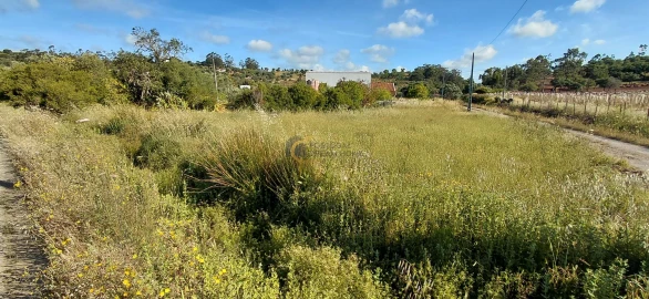 Terreno Agricola ou Rústico para Venda em São Bartolomeu de Messines